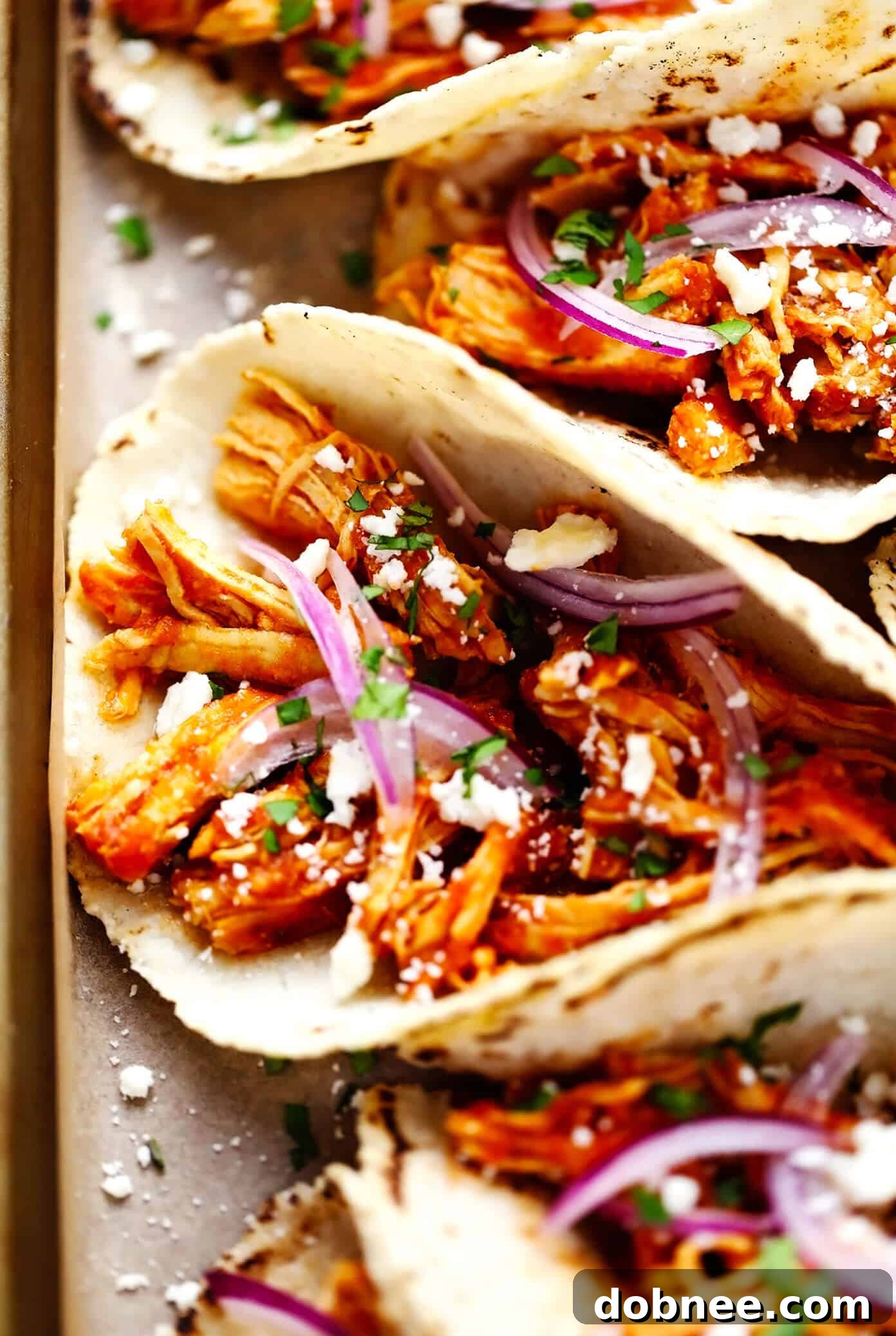 Closeup of a Chicken Tinga Taco with avocado, cilantro, and red onion