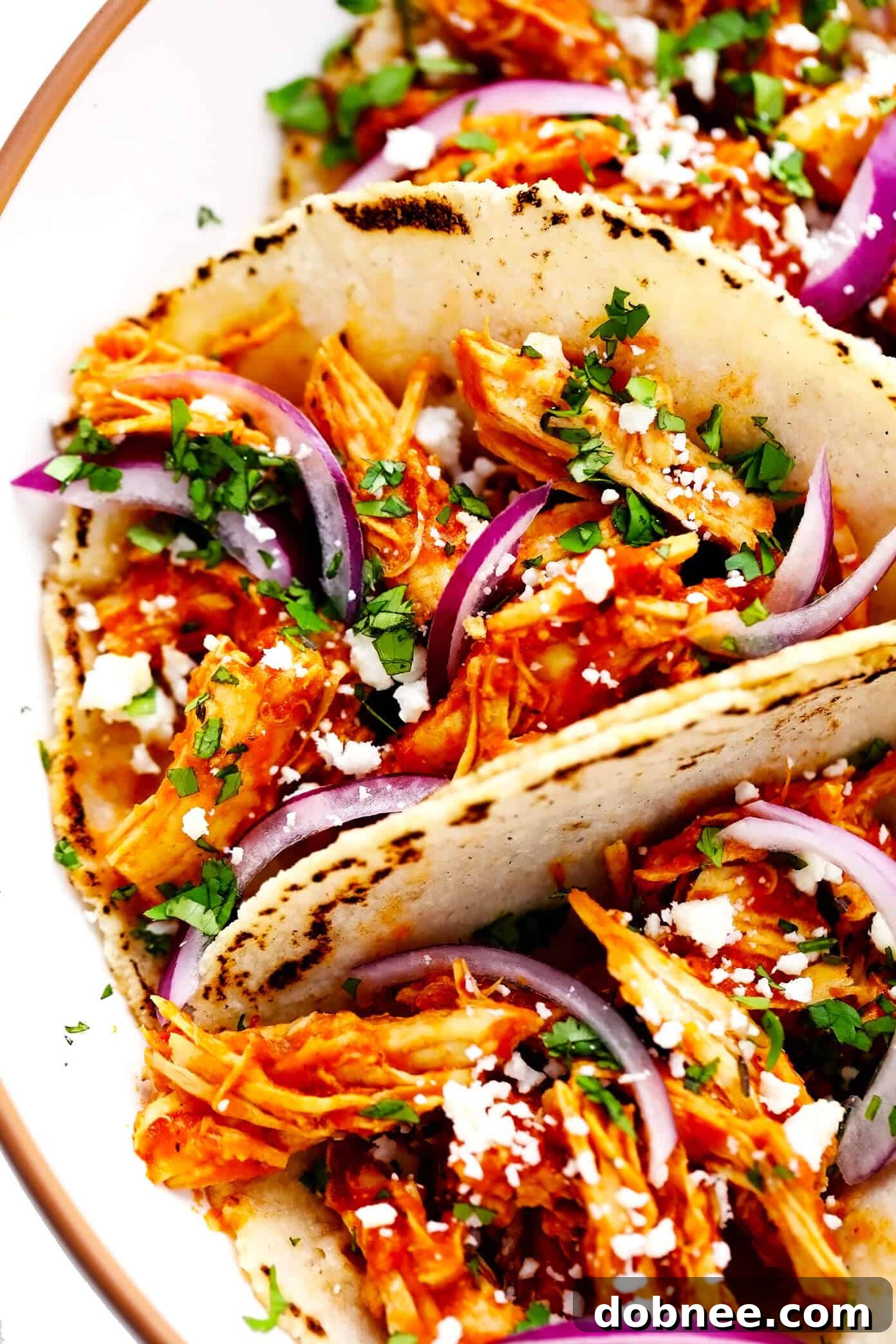 Close-up of a Chicken Tinga Taco with fresh ingredients and vibrant colors