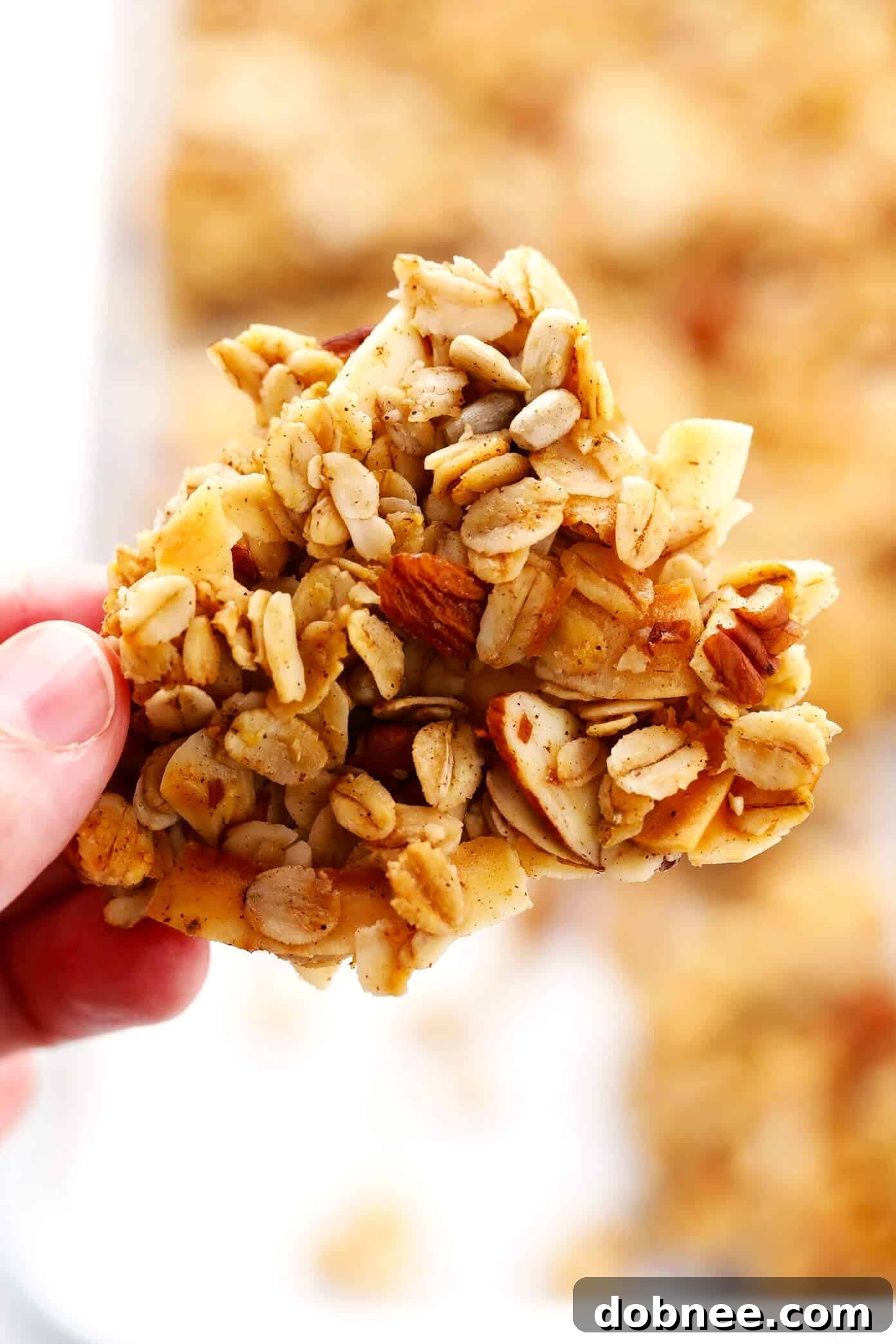 Crunchy Granola Chunk