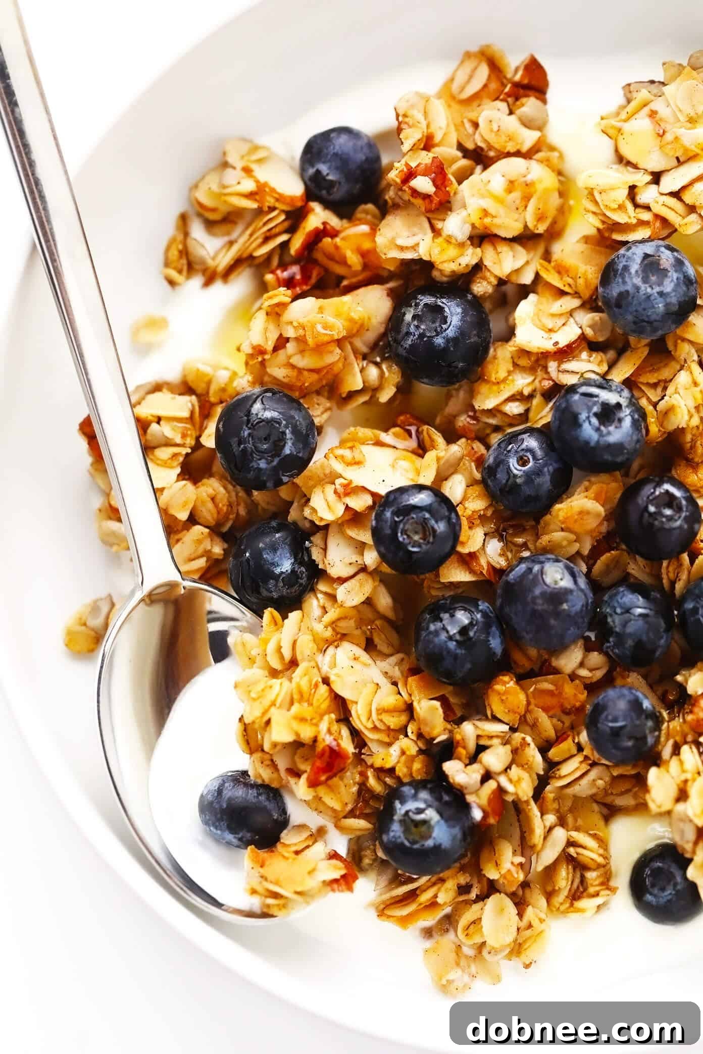 Homemade Granola with Blueberries and Greek Yogurt