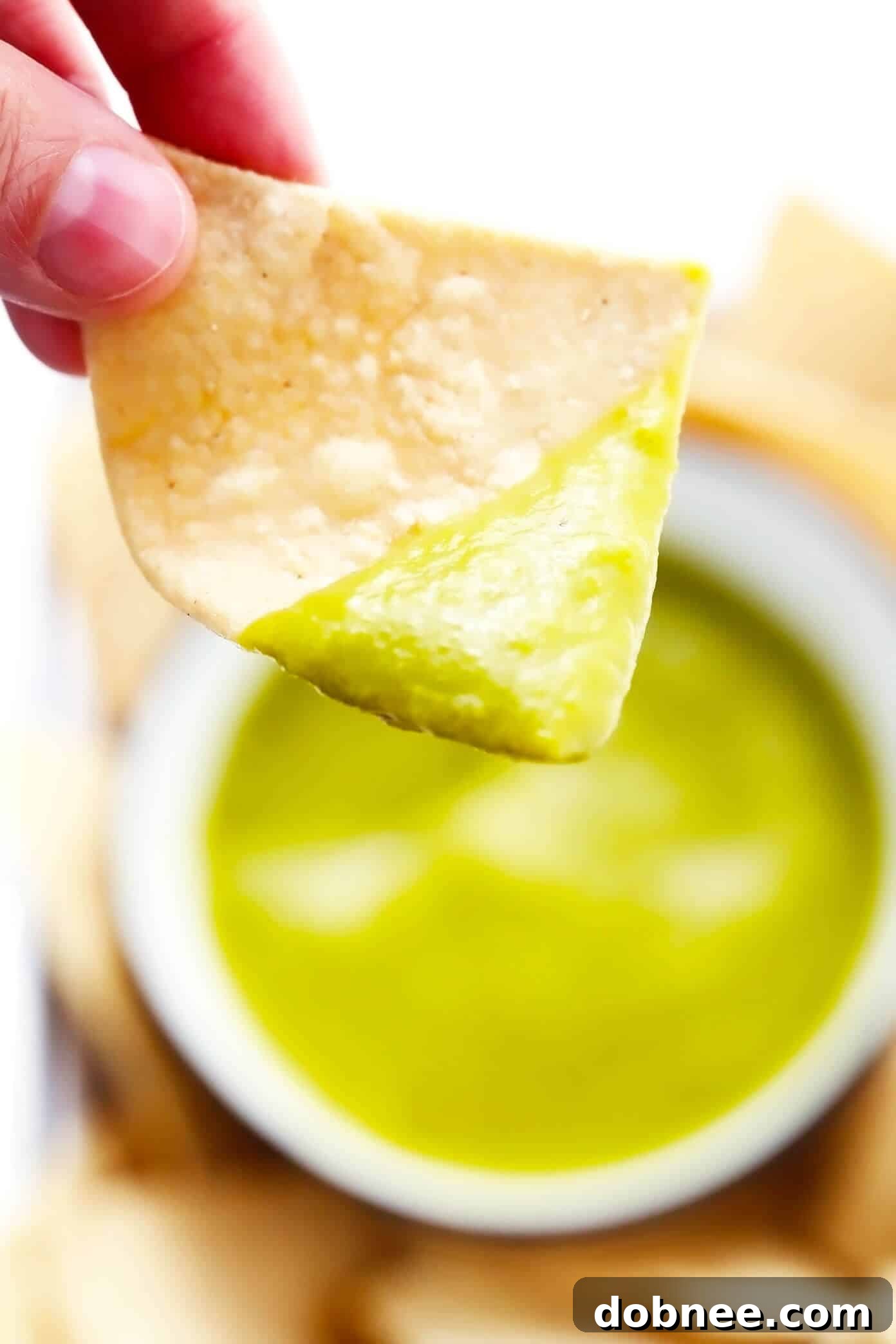 Scooping a tortilla chip in jalapeño salsa