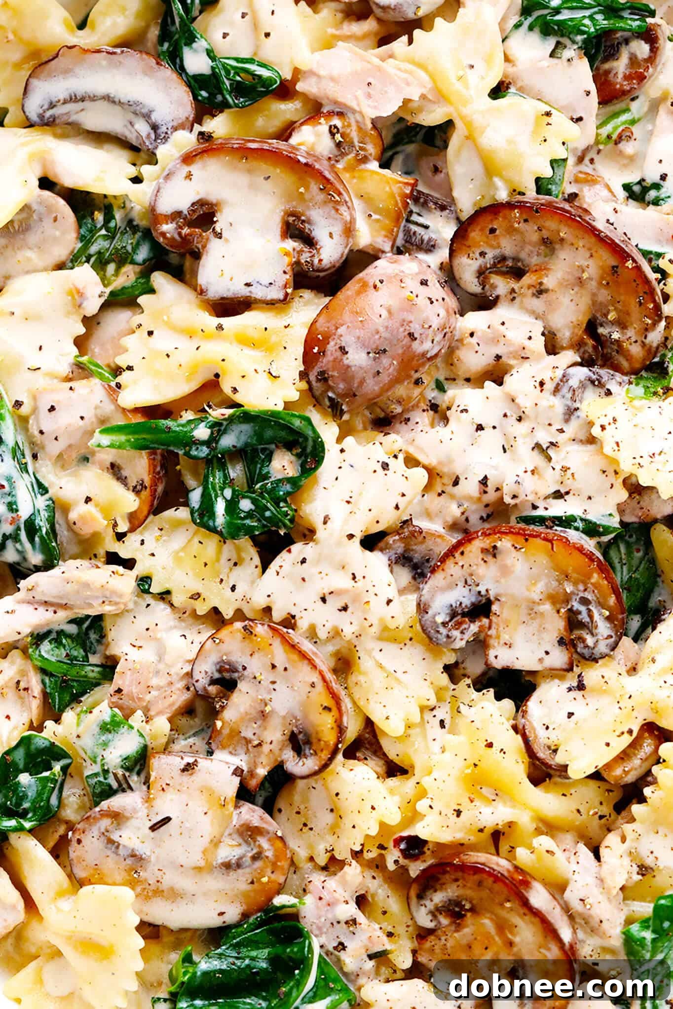 Close-up of creamy tuna mushroom pasta, showcasing the rich sauce, tender pasta, and savory ingredients.