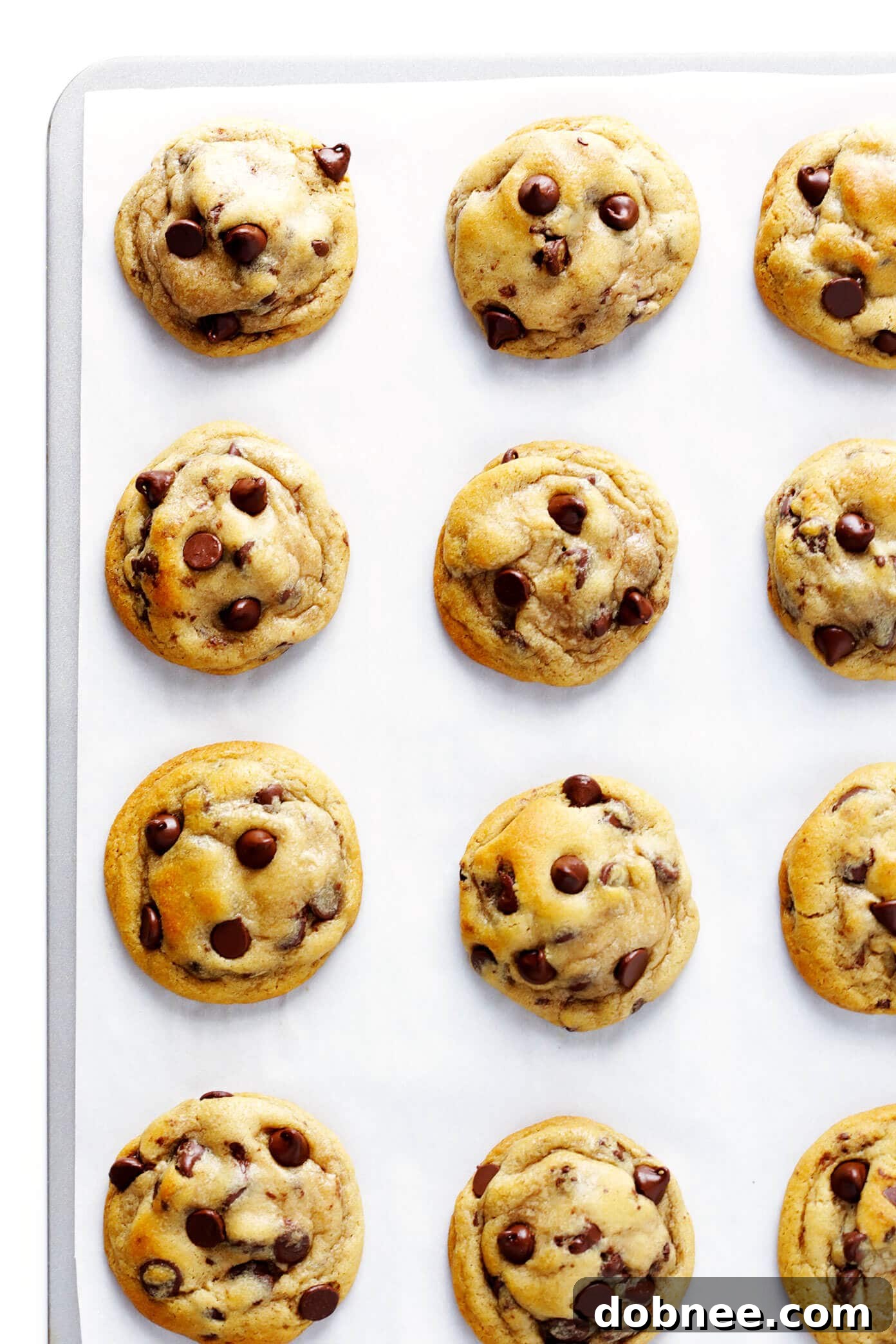 The BEST Chocolate Chip Cookies - perfectly soft, chewy, and buttery