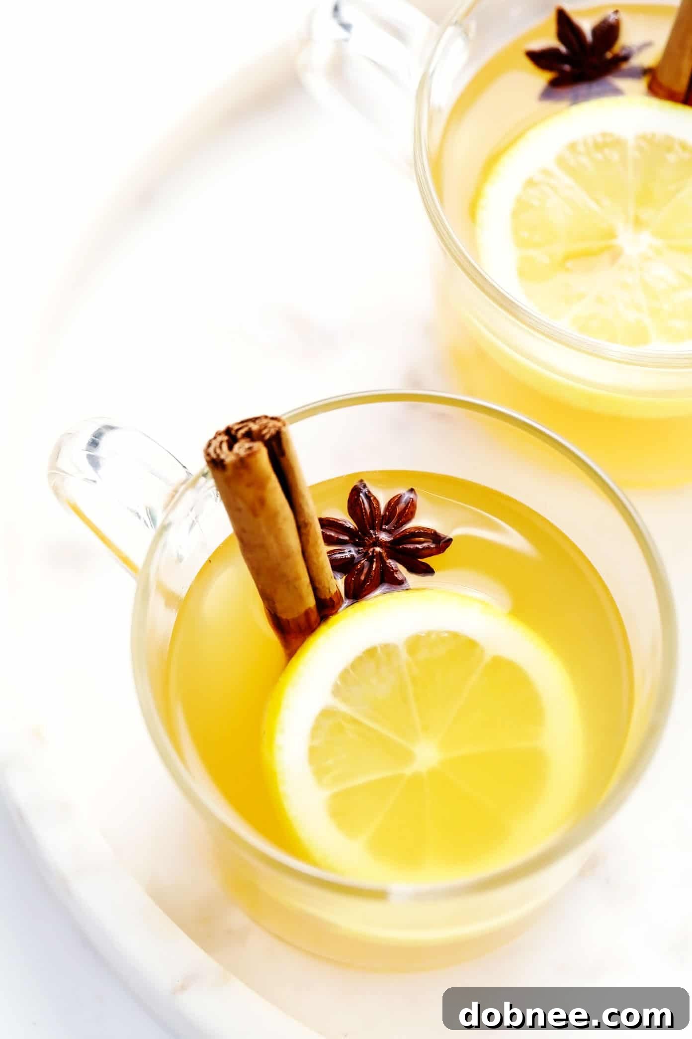 Hot Toddy garnished with cinnamon, lemon, and star anise