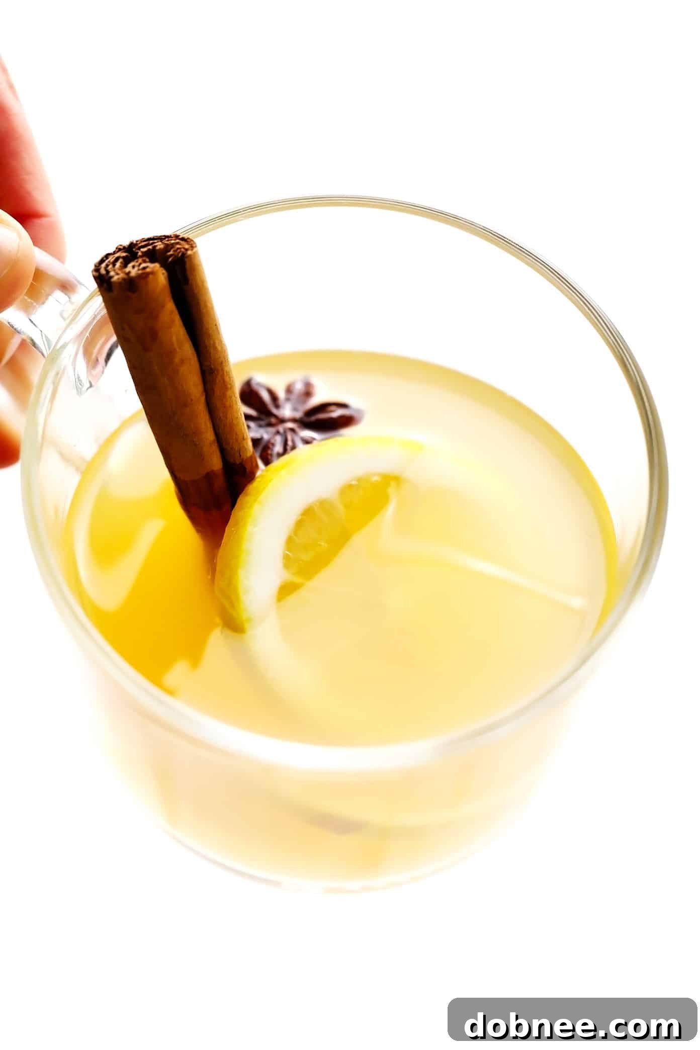 Close-up of a Hot Toddy mug with cinnamon stick, ginger, and star anise garnish