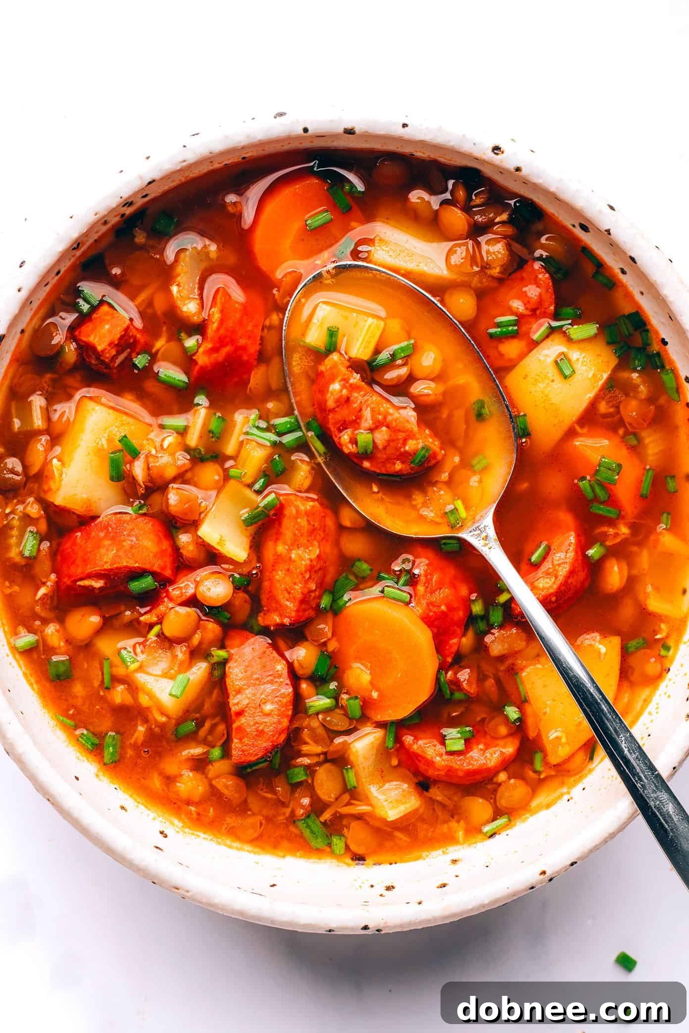 Rich Spanish Chorizo Lentil Stew in a bowl, garnished with fresh herbs, ready to be served