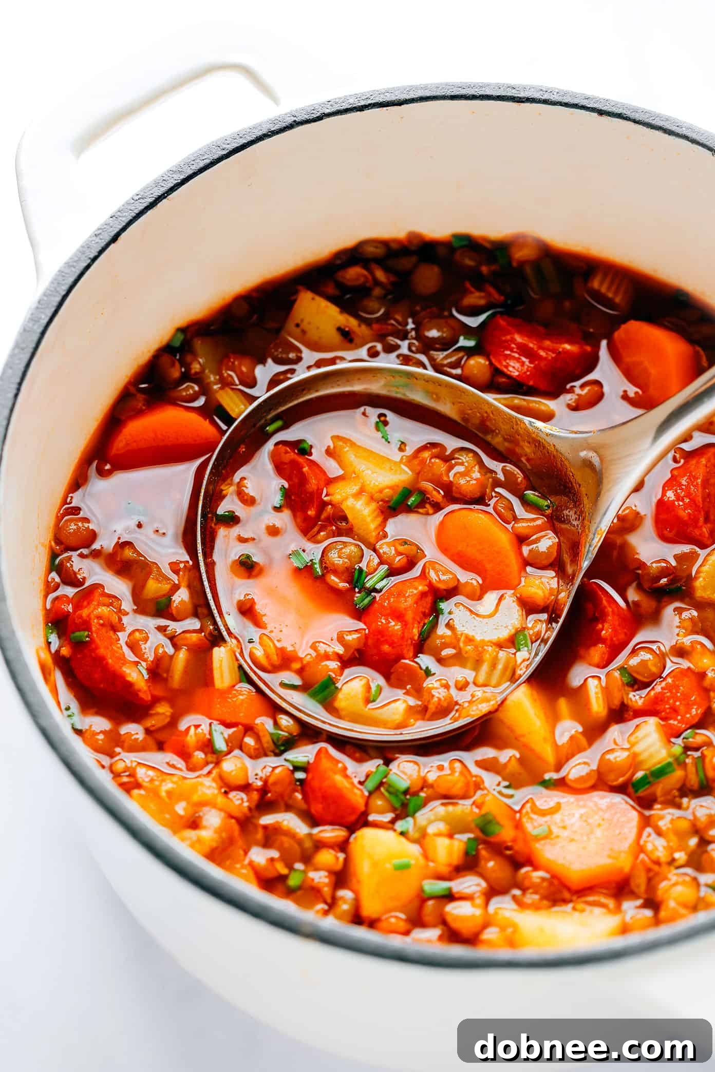 Ladle scooping Spanish Chorizo Lentil Stew from a pot into a bowl, emphasizing its hearty texture
