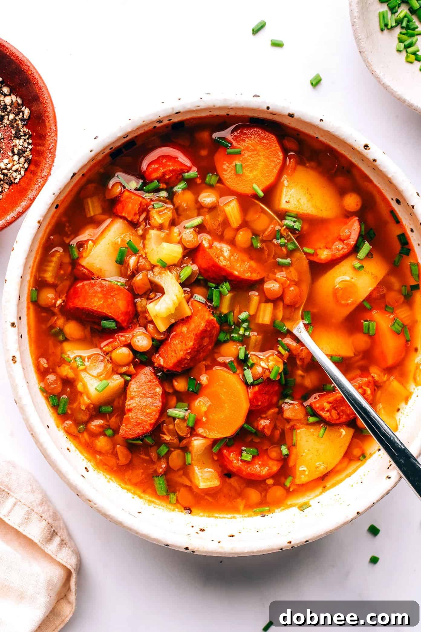 Close-up of a bowl of Spanish Chorizo Lentil Stew, perfectly garnished and ready to eat