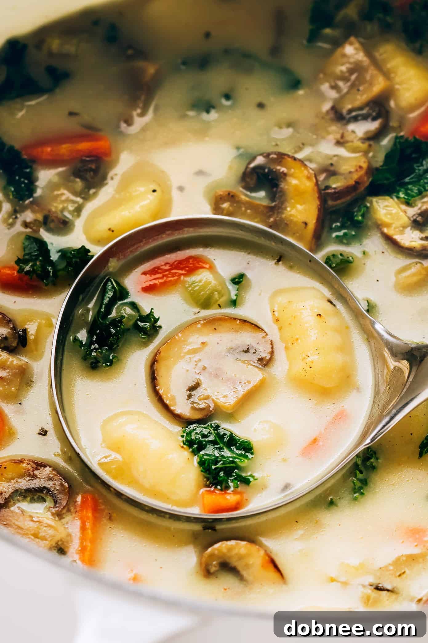 A close-up shot of a ladle scooping up creamy Gnocchi, Mushroom and Kale Soup, highlighting its texture and ingredients.