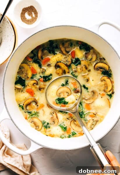 Gnocchi, Mushroom and Kale Soup