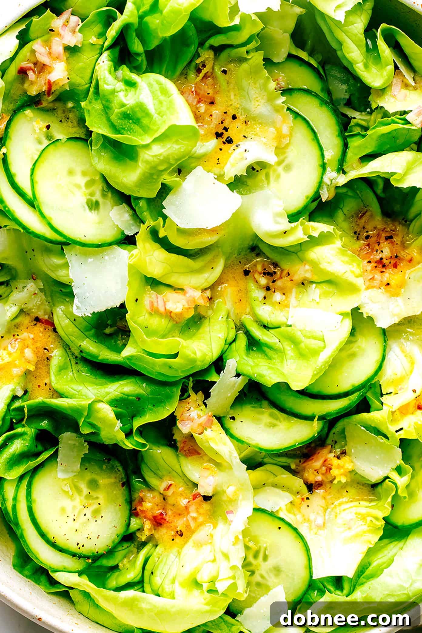 Close-up of a vibrant butter lettuce salad tossed with Shallot Vinaigrette, cucumber, and parmesan