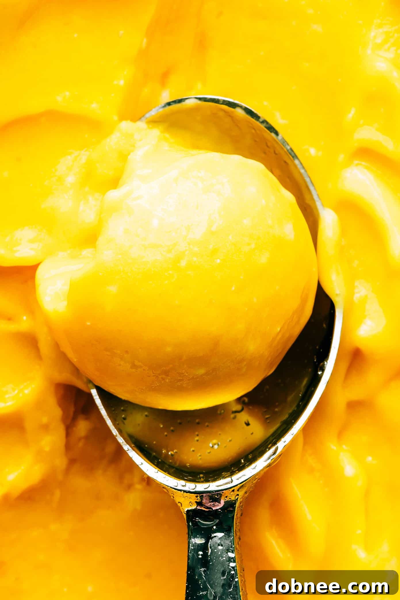 Close-up of a scoop of Mango Lime Sorbet, highlighting its smooth and creamy texture
