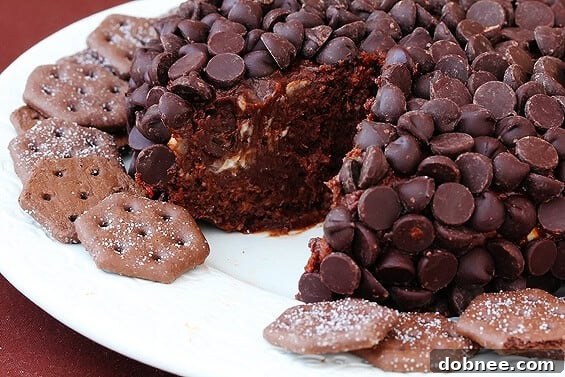 Nutella Cheeseball | gimmesomeoven.com Decadent Nutella Cheeseball ready to serve at a gathering, surrounded by dippers.