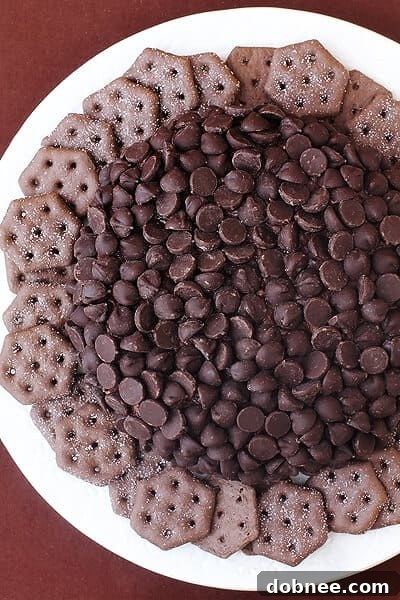 Nutella Cheeseball | gimmesomeoven.com Close-up of a perfectly formed Nutella Cheeseball, artfully garnished with chocolate chips.