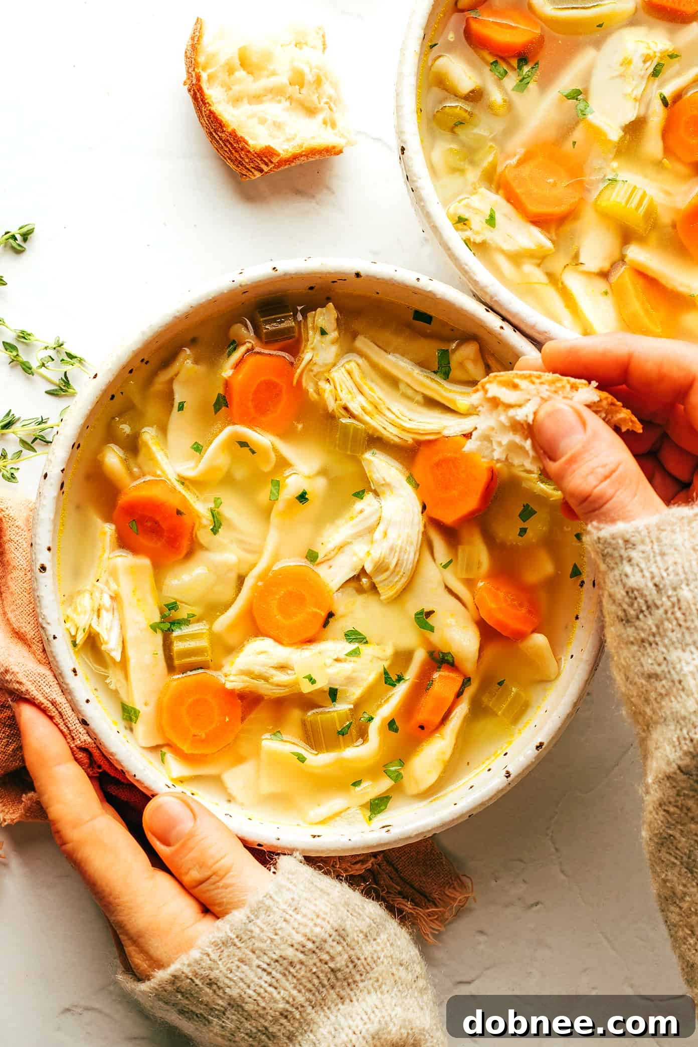 Classic Homemade Chicken Noodle Soup
