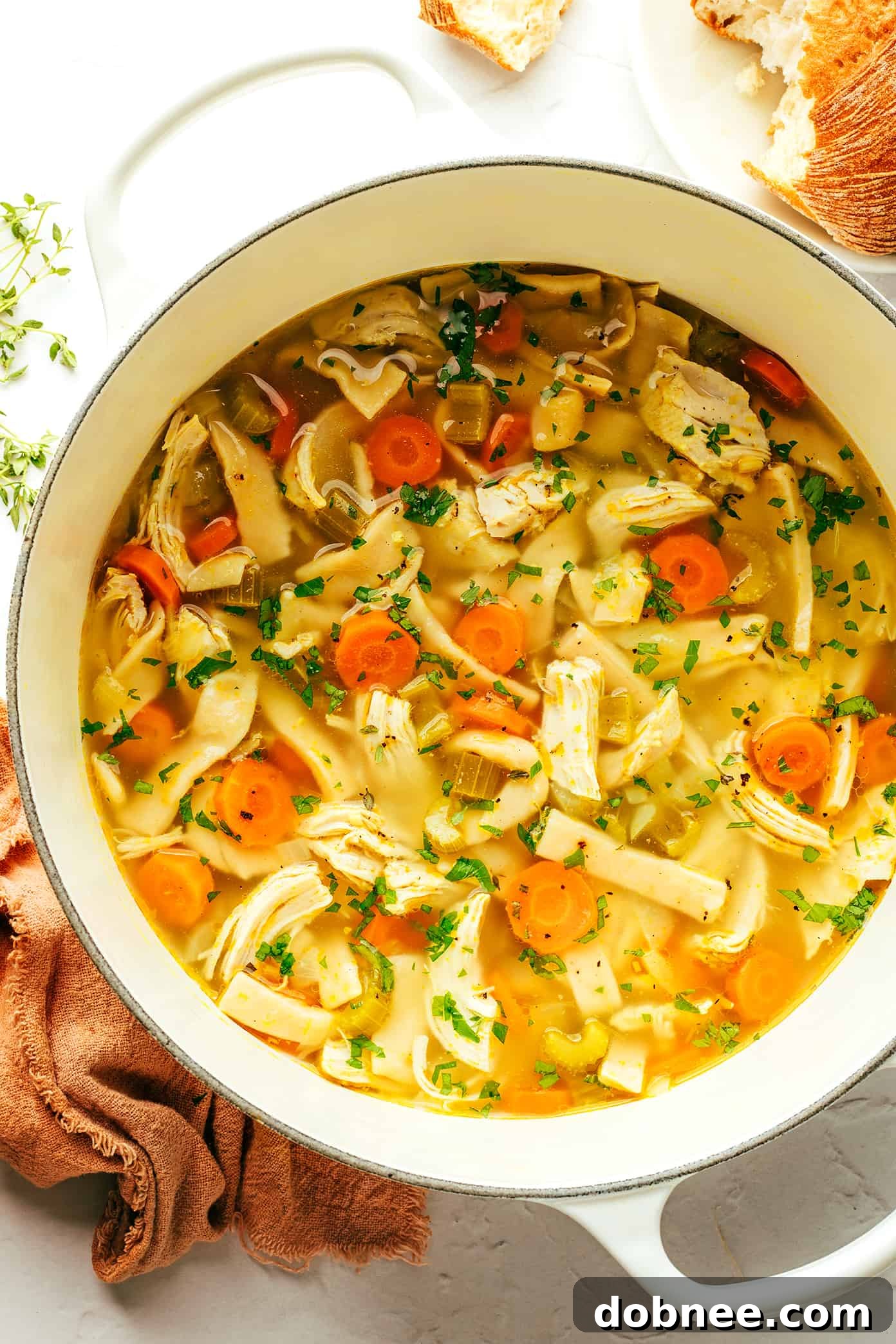 Homestyle Chicken Noodle Soup in Pot with Parlsley