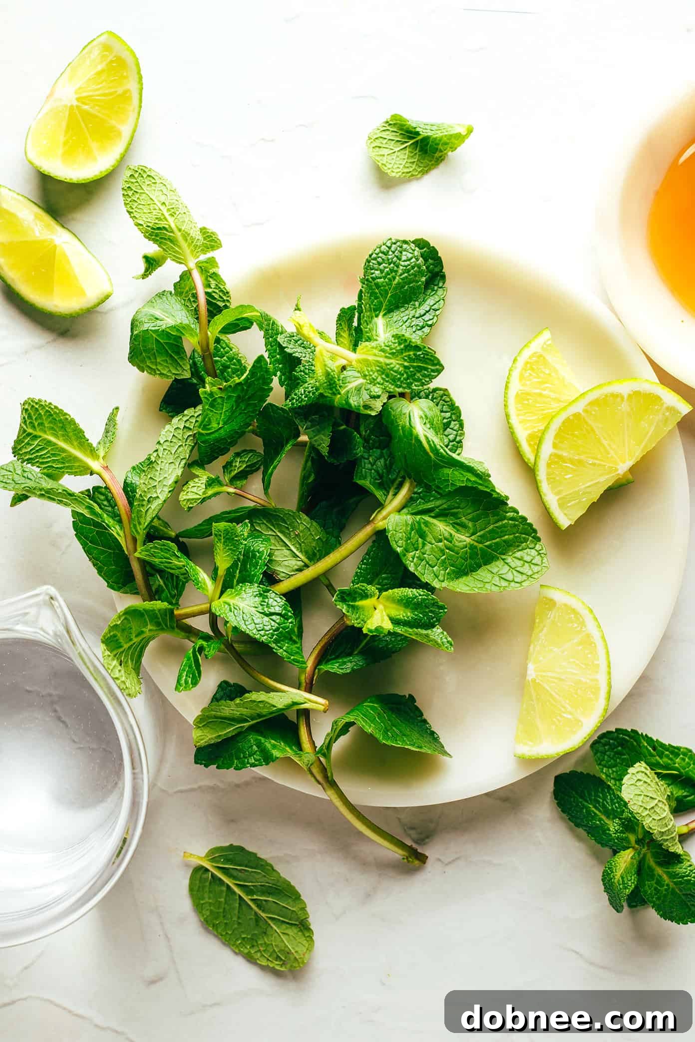 Fresh Mint Tea Ingredients