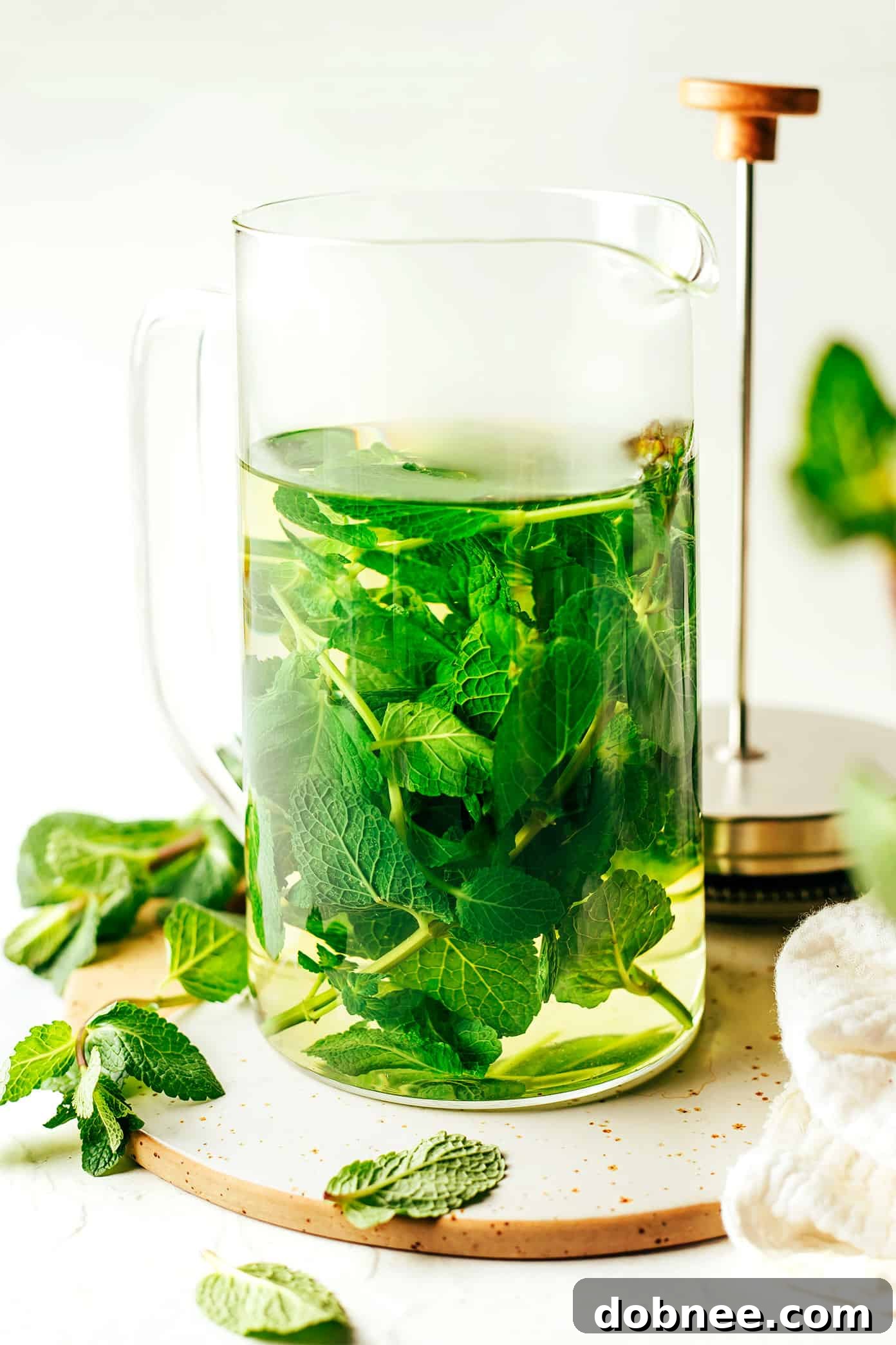 French Press brewing fresh mint tea