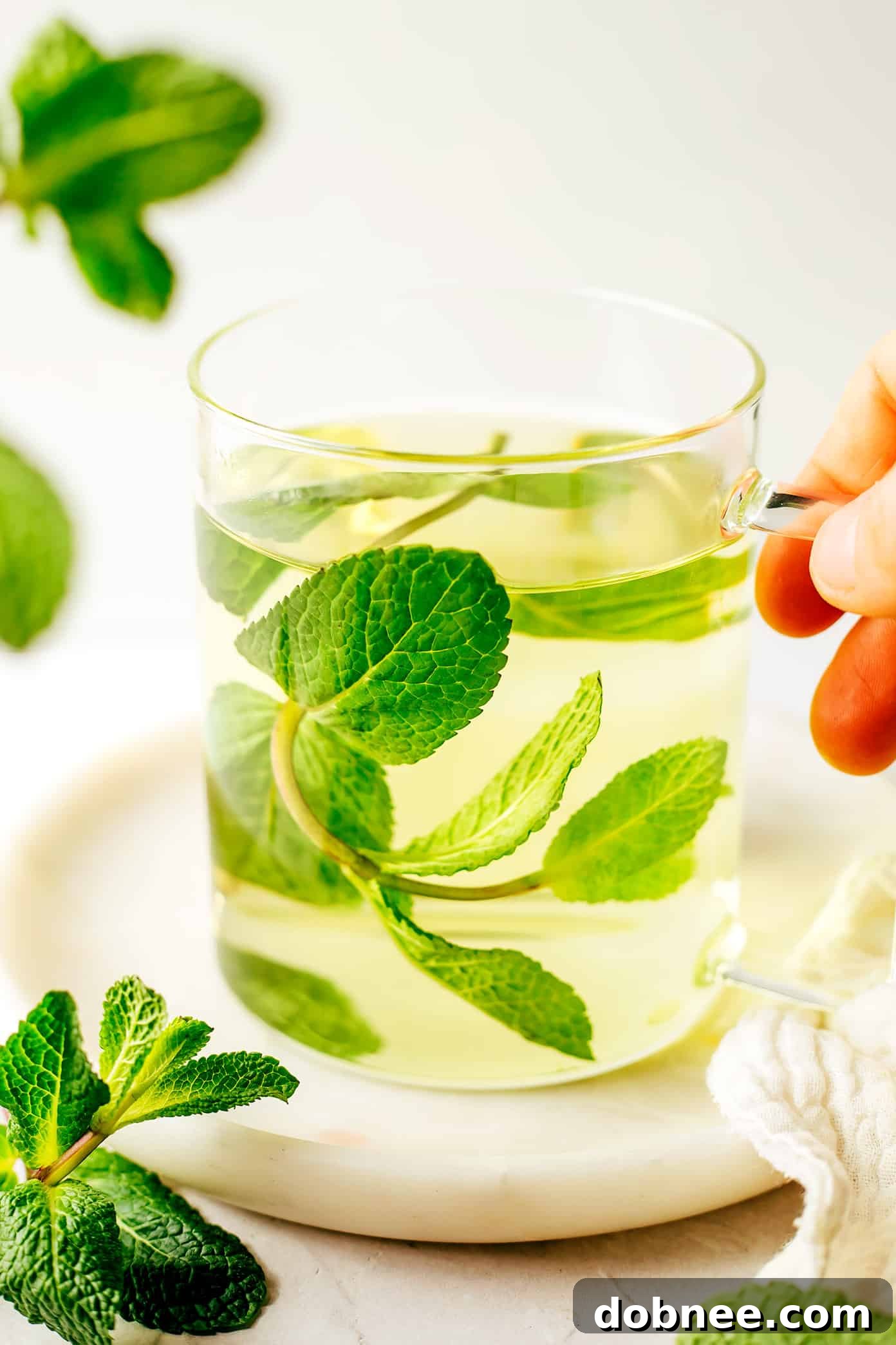 Mug of Fresh Mint Tea