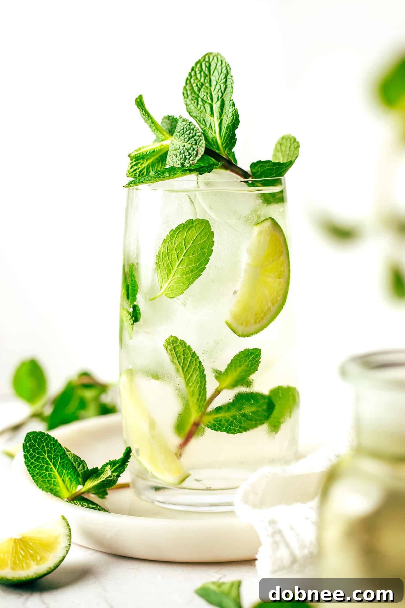 Iced Fresh Mint Tea in Glass