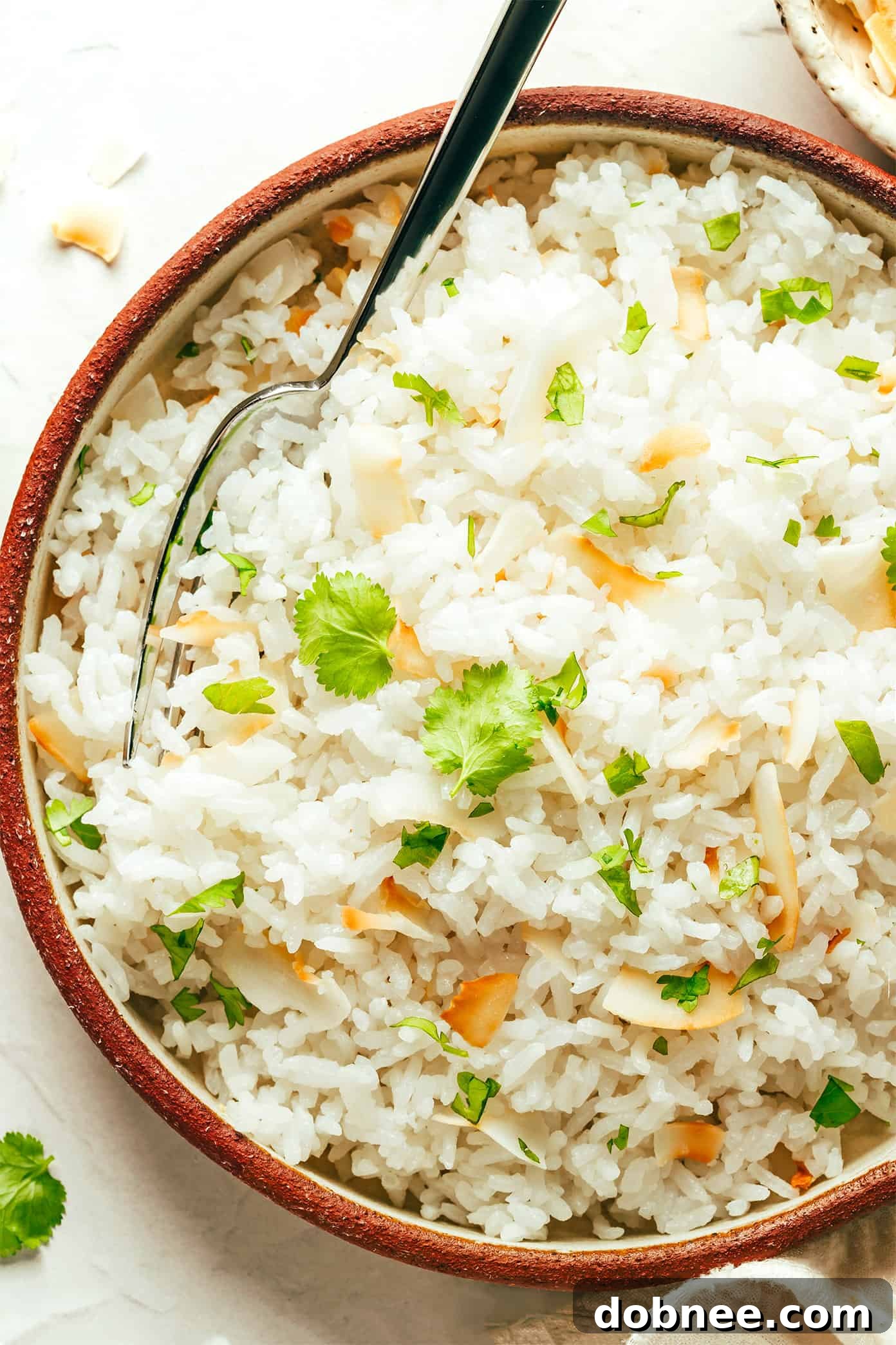 Fluffy Coconut Rice with a hint of sweetness, served in a bowl, perfect for various savory dishes.