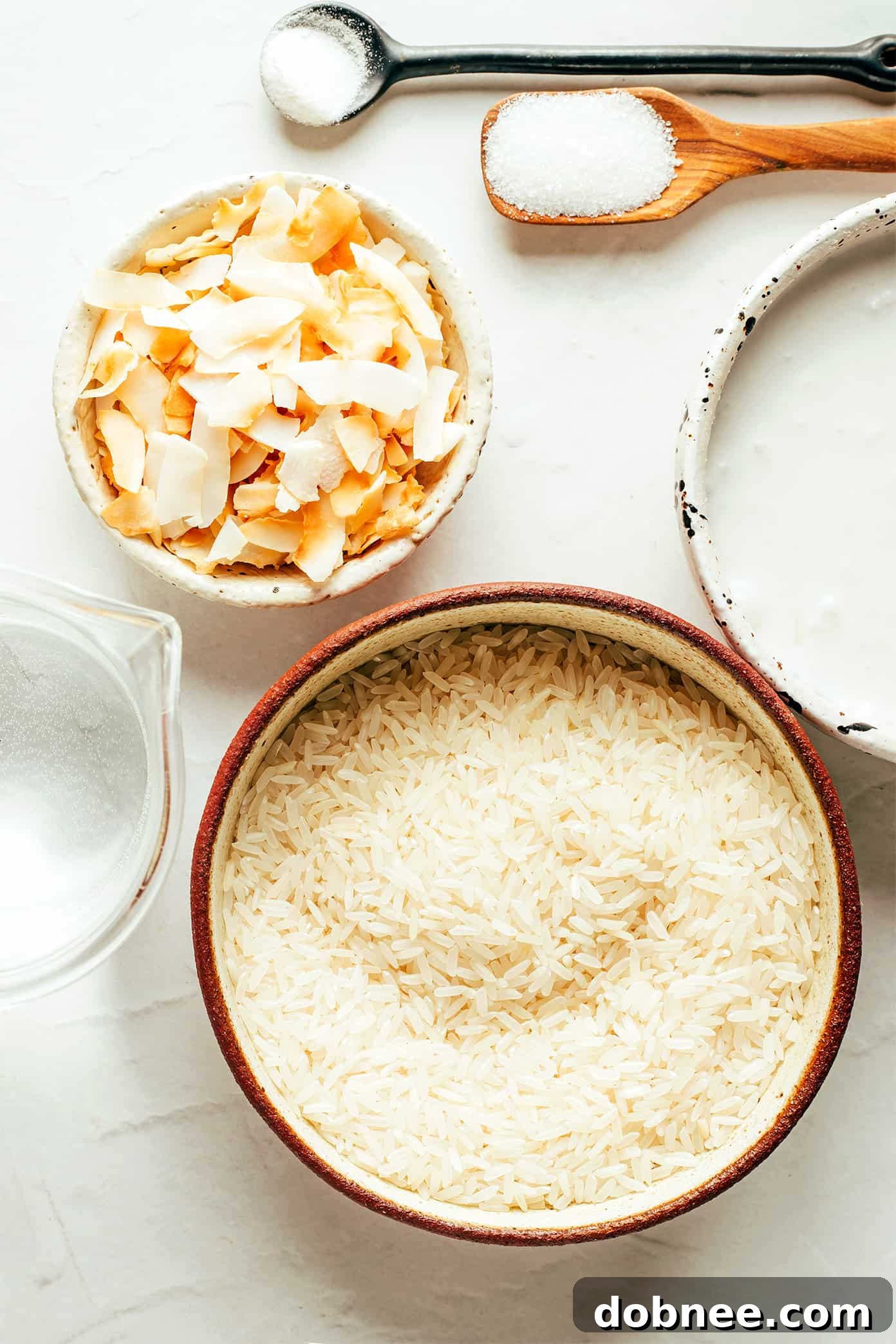 A collection of fresh ingredients laid out for making coconut rice, including jasmine rice, a can of full-fat coconut milk, and sea salt.