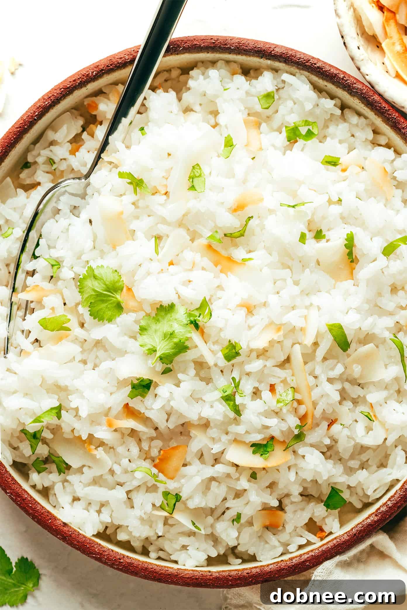 A beautiful bowl of fluffy coconut rice, garnished with fresh cilantro, ready to be enjoyed.