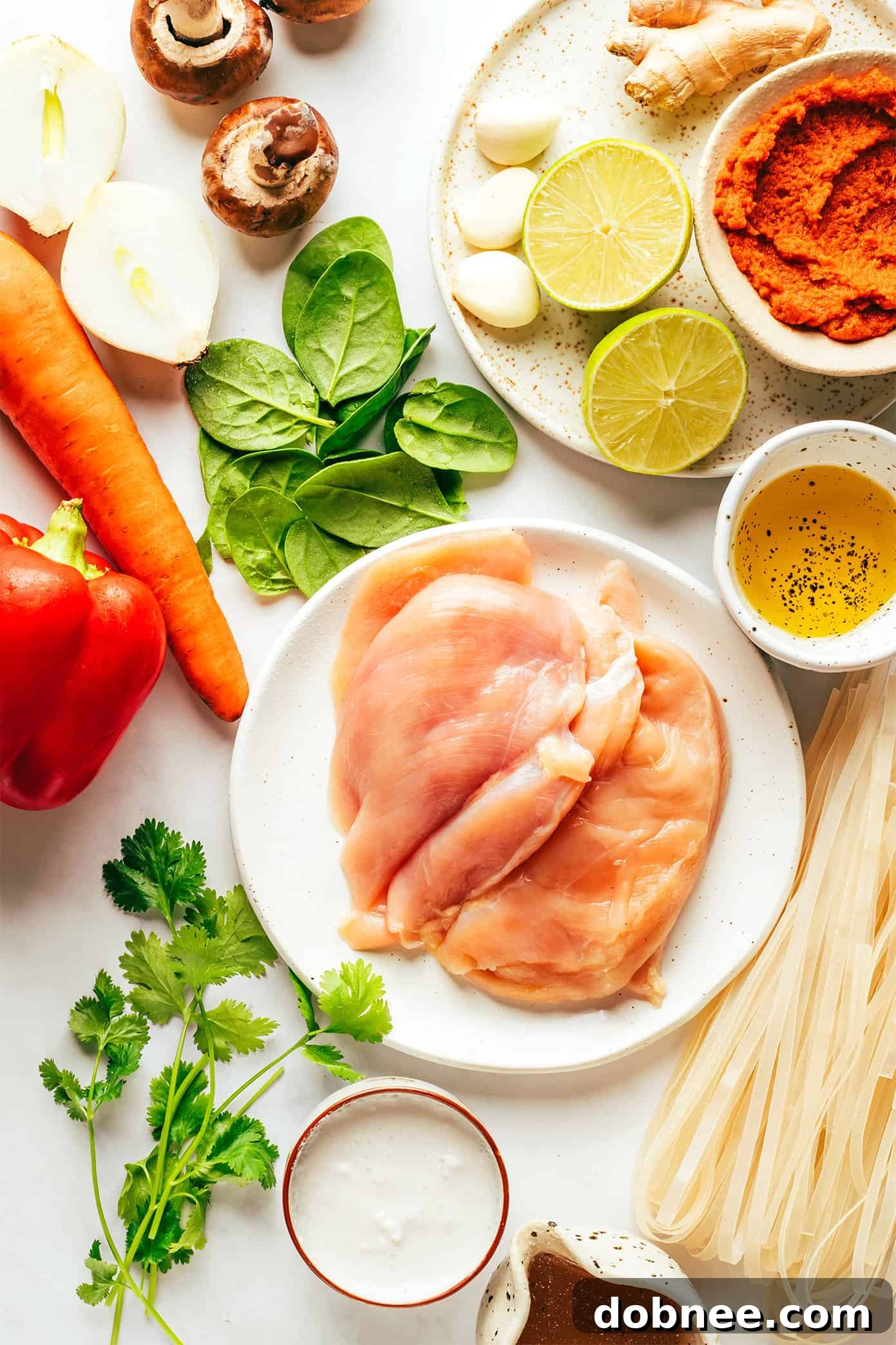 Thai Chicken Noodle Soup Ingredients