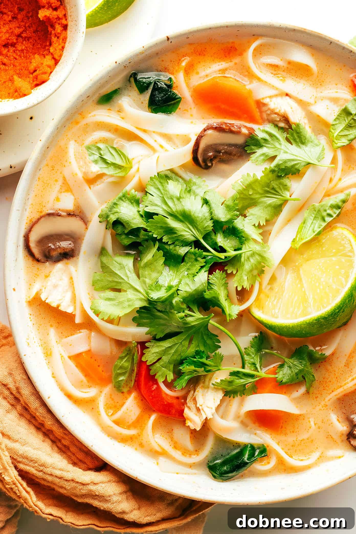 Bowl of Thai Chicken Noodle Soup