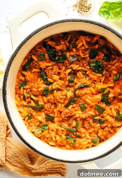 Italian Sausage Zucchini Orzo - main image