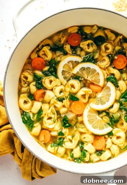 A top-down view of a large serving of Lemony Tortellini Soup, garnished.