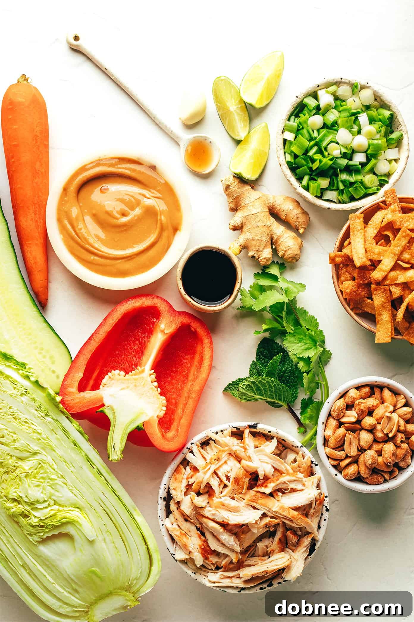 A selection of fresh, chopped ingredients for Thai Crunch Salad, including shredded cabbage, carrots, cucumber, bell pepper, cilantro, mint, scallions, peanuts, and cooked chicken.