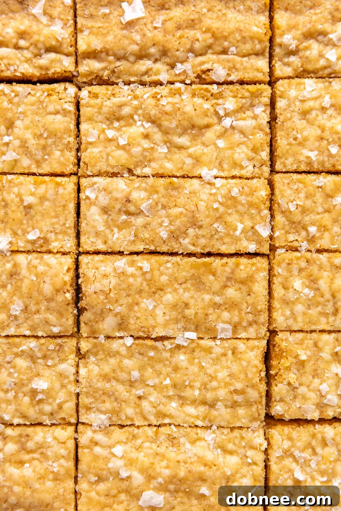 Perfectly sliced brown butter shortbread bars sprinkled with flaky sea salt