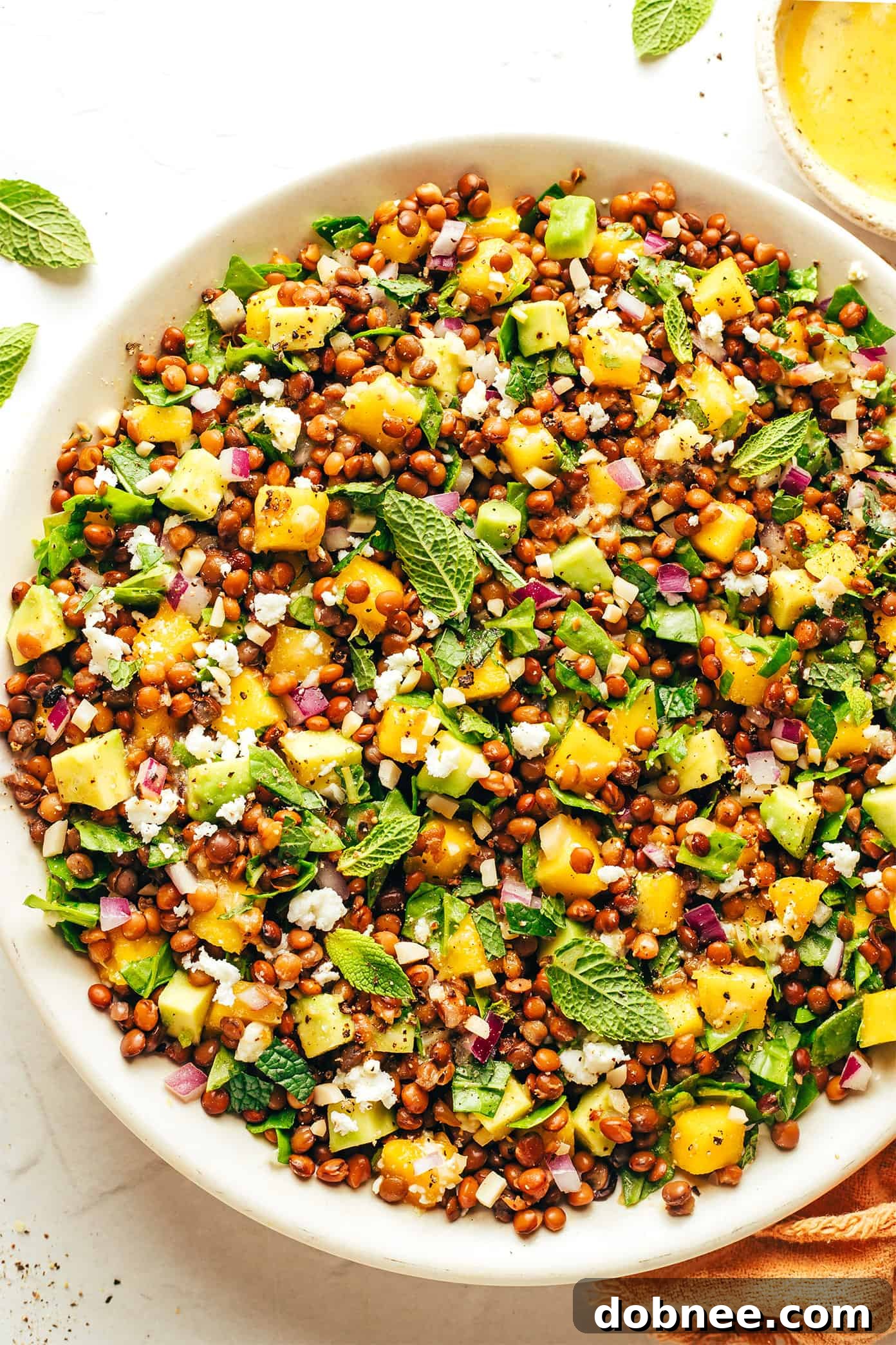 A beautifully presented bowl of Mango Lentil Salad, showcasing its vibrant colors and fresh ingredients.