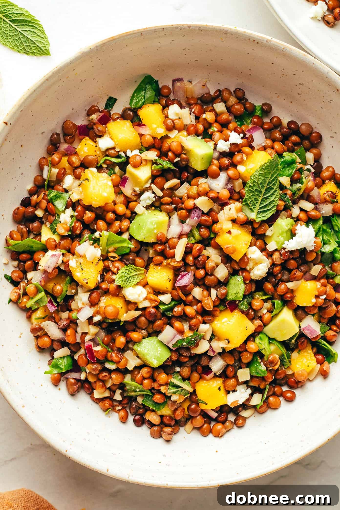 Beautifully plated Mango Lentil Salad with a fork, ready to be eaten.