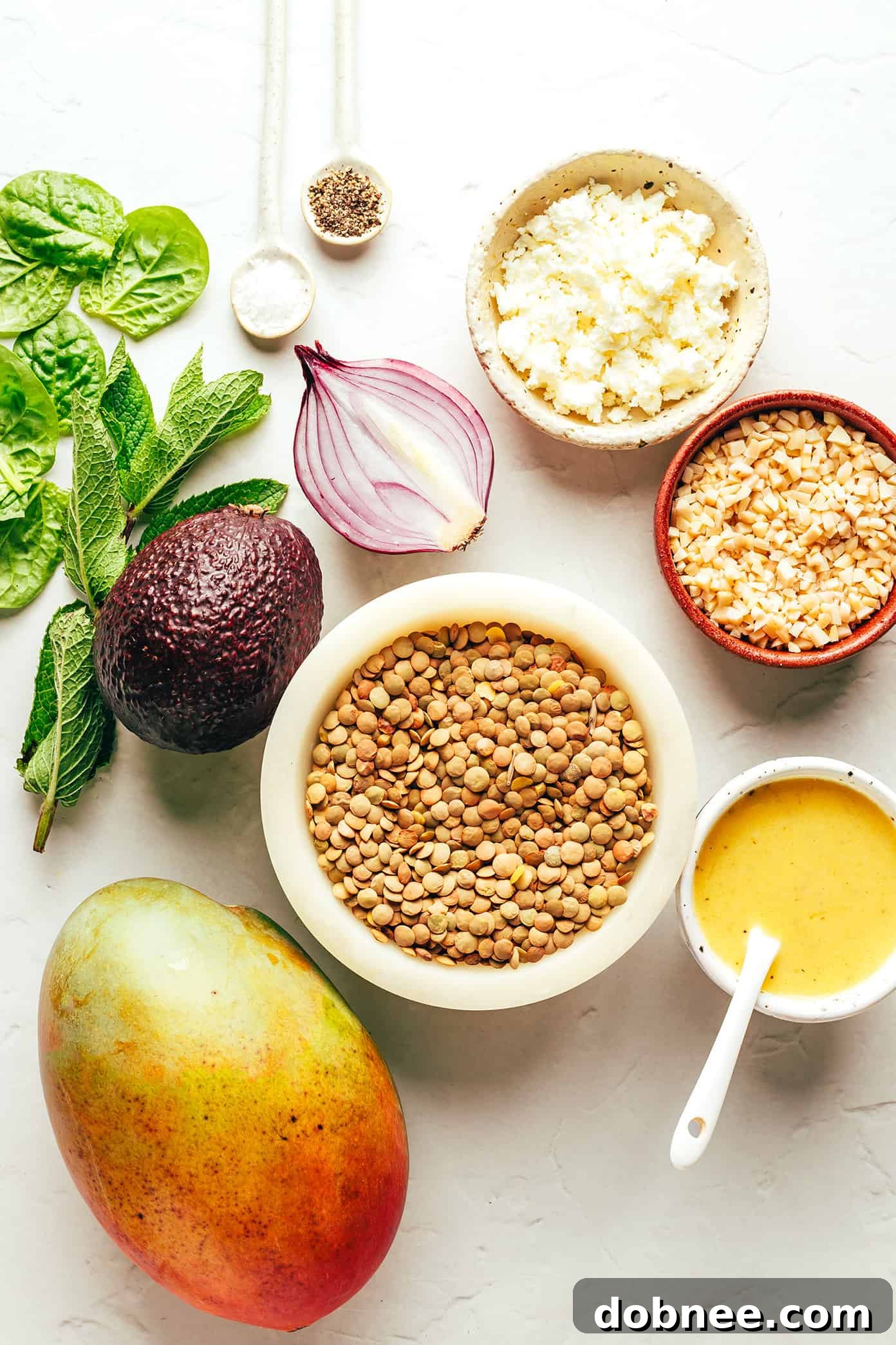 Close-up view of Mango Lentil Salad ingredients, including lentils, mango, avocado, and fresh mint.