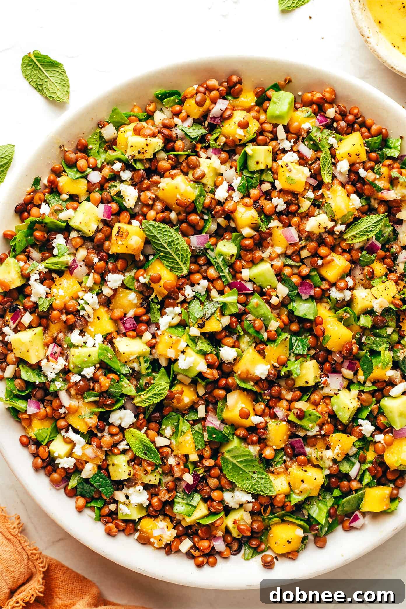 A portion of Mango Lentil Salad served in a bowl, showcasing its fresh and wholesome ingredients.
