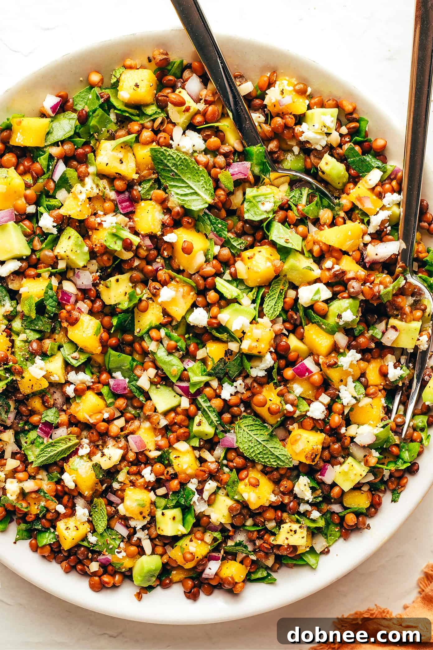 A comprehensive spread featuring the Mango Lentil Salad alongside its fresh ingredients and dressing.