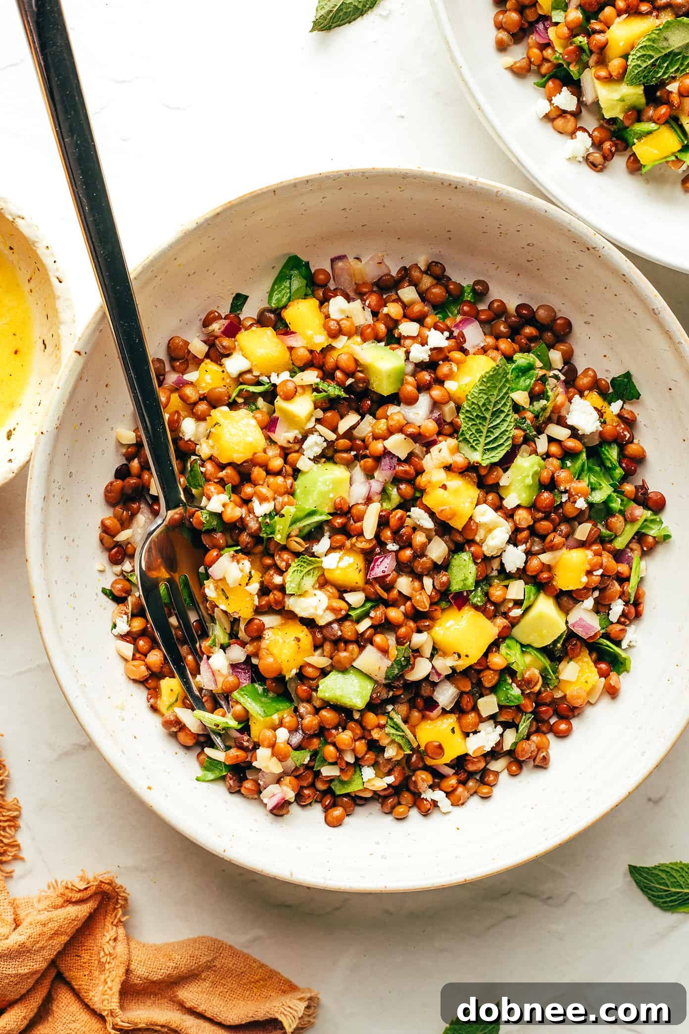 An artfully arranged Mango Lentil Salad, garnished with fresh mint leaves, ready to be enjoyed.