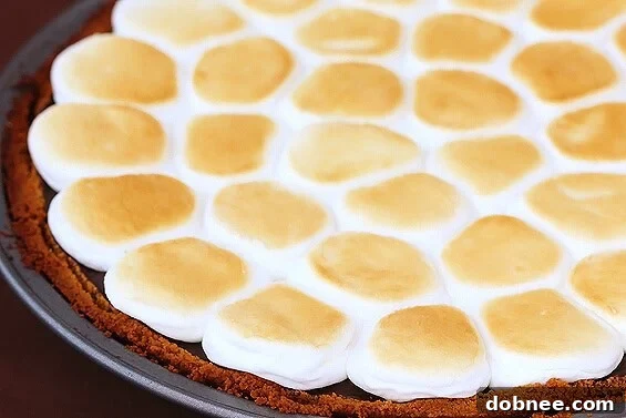 A beautiful, freshly baked S'mores Pie with perfectly toasted marshmallows, ready to be served.
