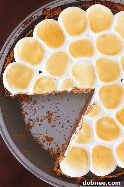 A delicious slice of S'mores Pie on a rustic wooden board, garnished with chocolate drizzle and graham cracker crumbs.