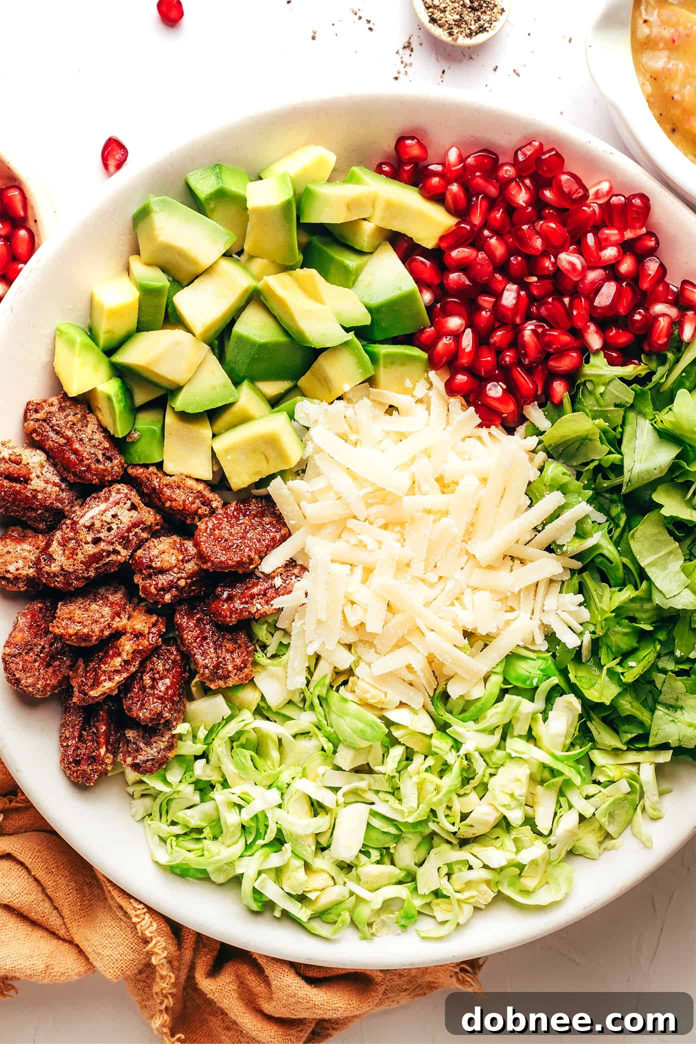 Brussels Sprouts Arugula Salad with Pomegranate and Parmesan, close up ingredients