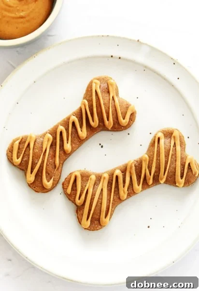 Homemade Dog Treats - Recipe Card Image