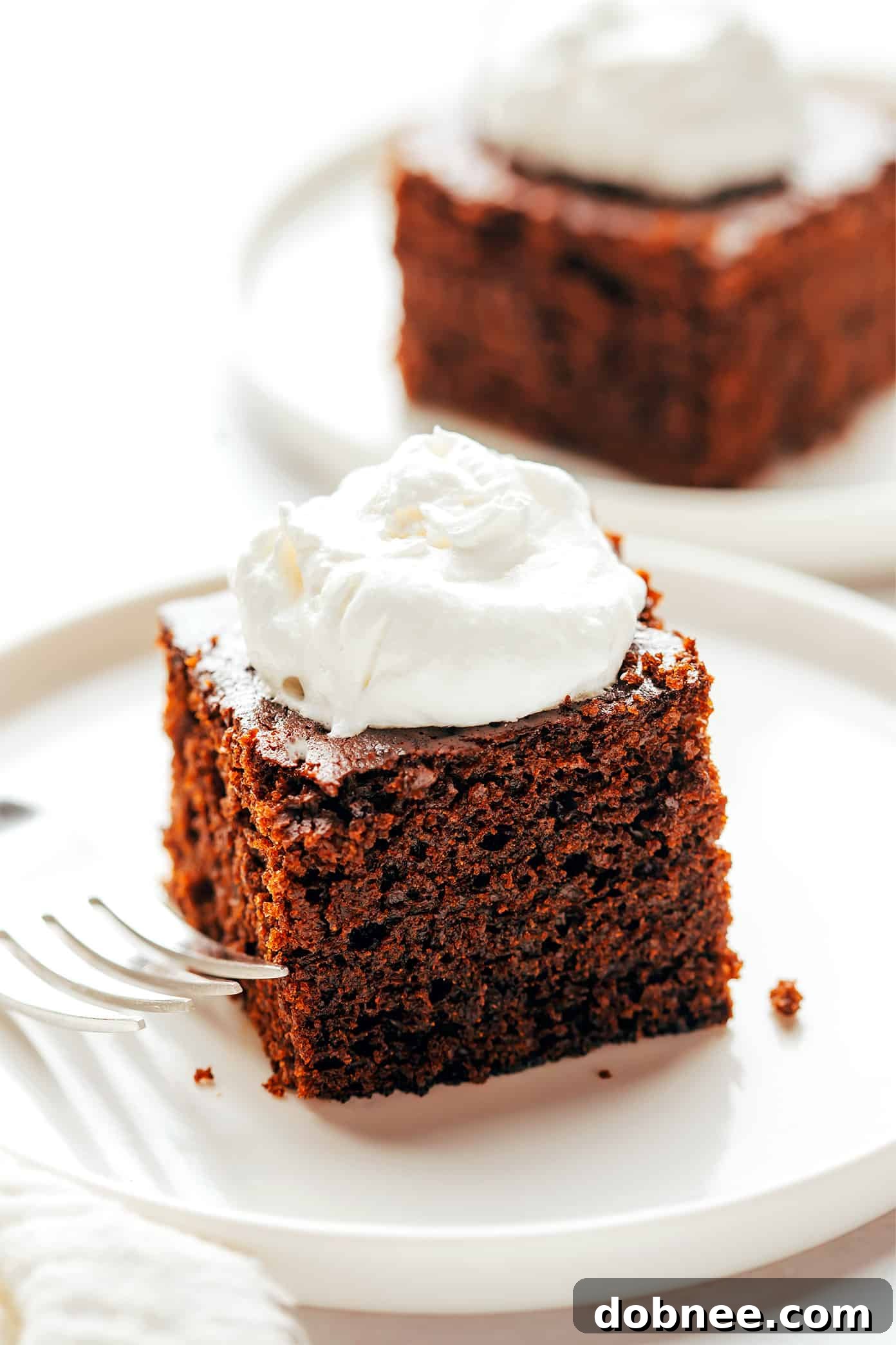 Warm Spiced Molasses Gingerbread 2 Moist Gingerbread Cake