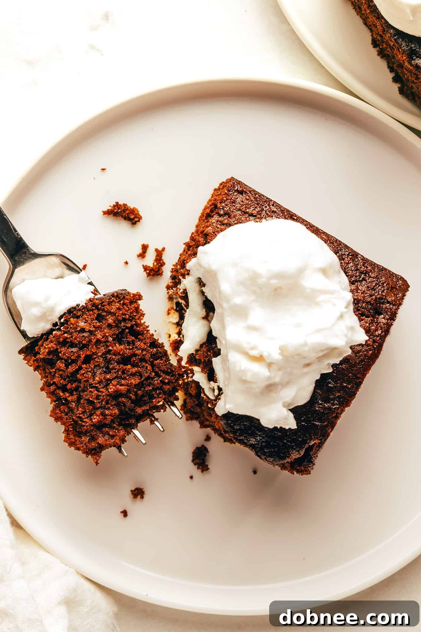 Warm Spiced Molasses Gingerbread 5 Gingerbread Cake Variations