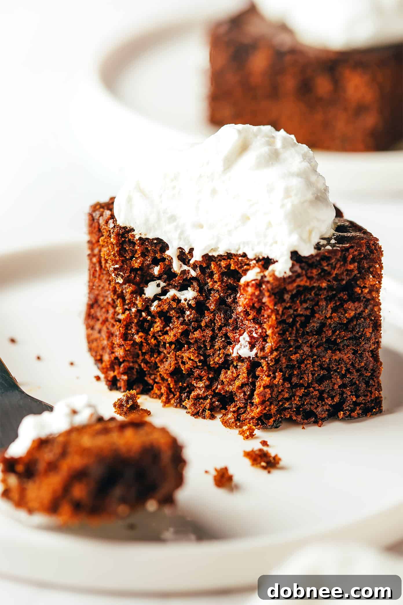 Warm Spiced Molasses Gingerbread 6 Gingerbread Cake Slice