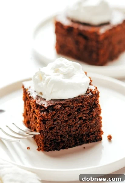 Moist Gingerbread Cake