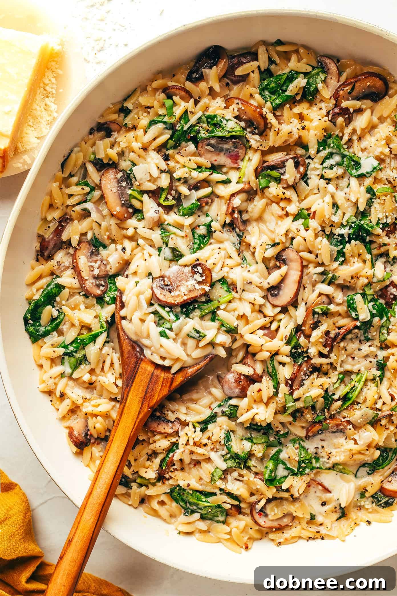 Creamy Garlic Mushroom Orzo Pasta