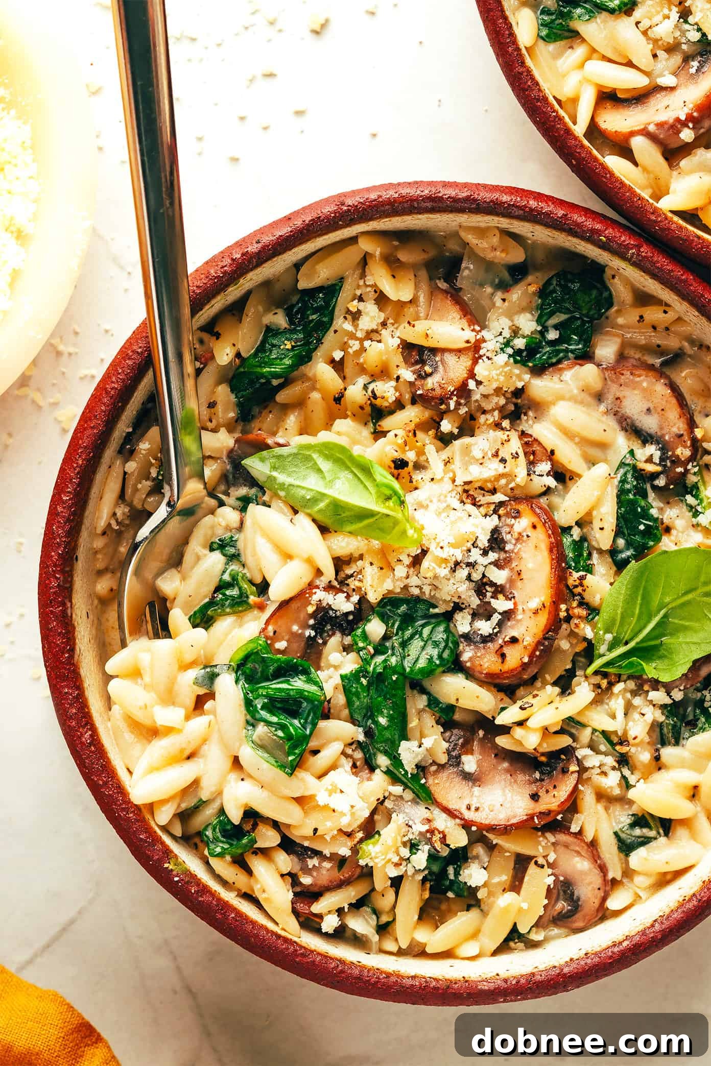 Recipe Variations for Creamy Garlic Mushroom Orzo
