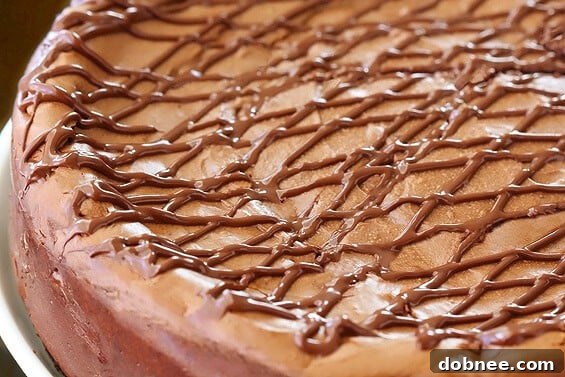 Nutella Cheesecake, a decadent dessert recipe.